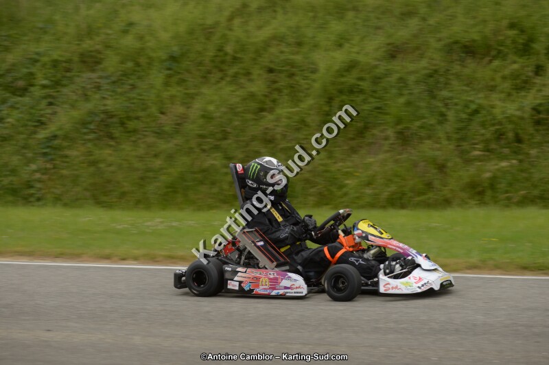 DSC_8288.jpg