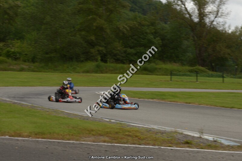 DSC_8296.jpg