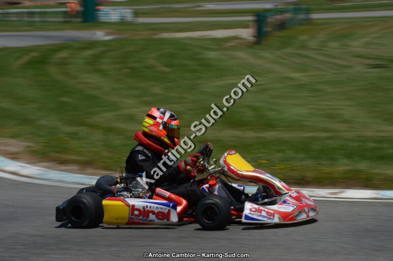 DSC_8504.jpg