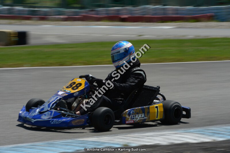 DSC_8517.jpg