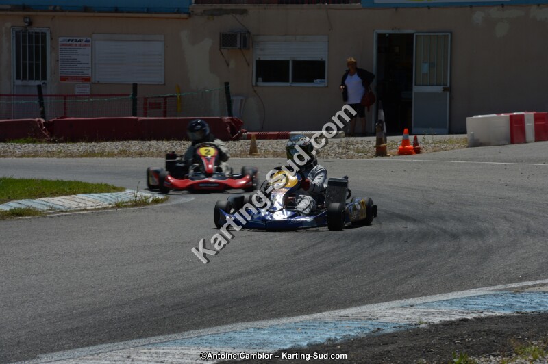 DSC_8528.jpg