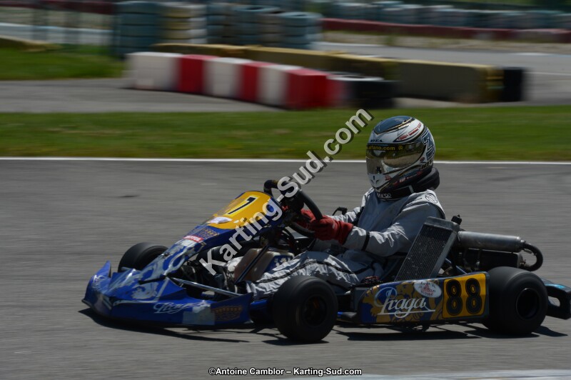 DSC_8529.jpg