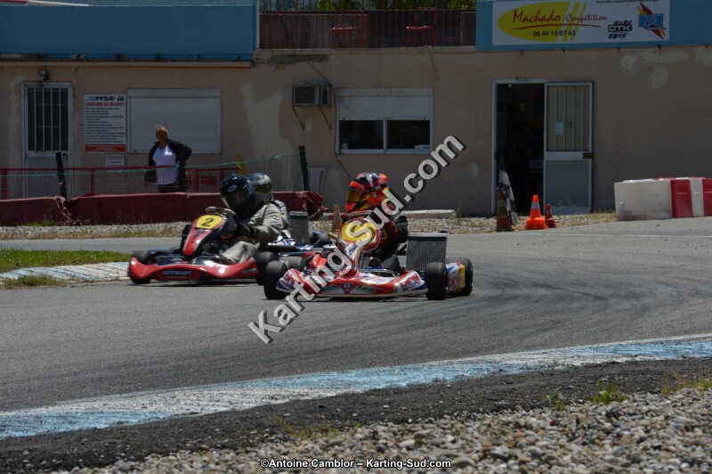 DSC_8533.jpg
