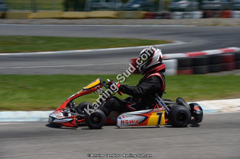 DSC_8545.jpg