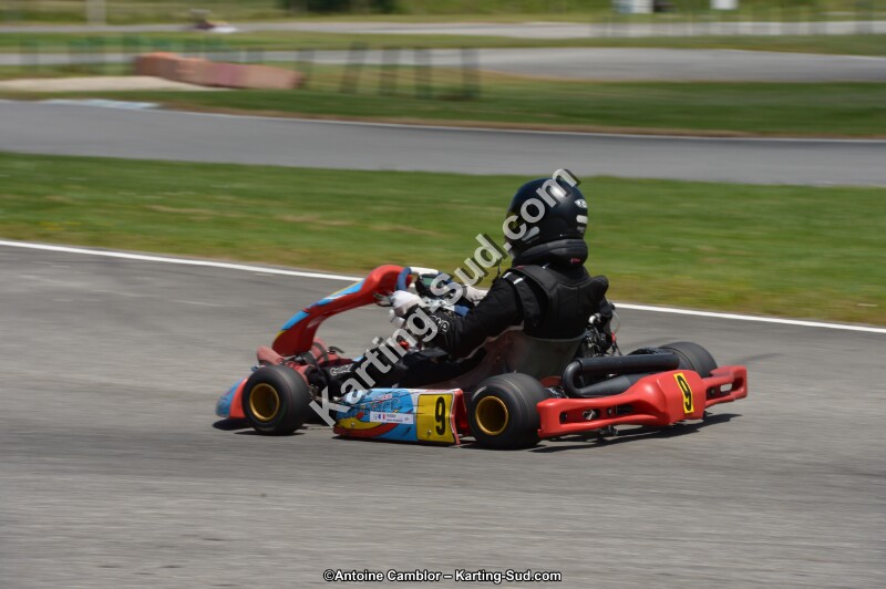 DSC_8547.jpg