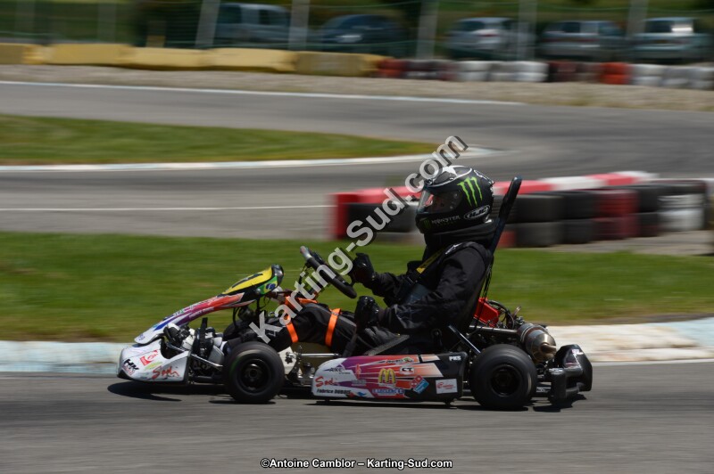 DSC_8549.jpg