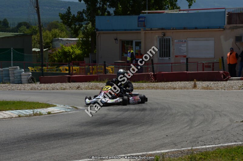 DSC_8553.jpg