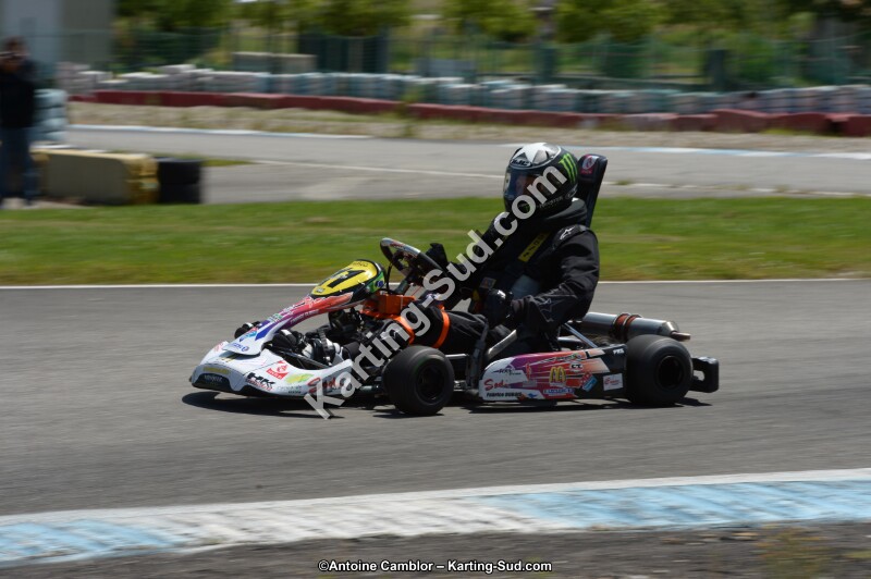 DSC_8554.jpg