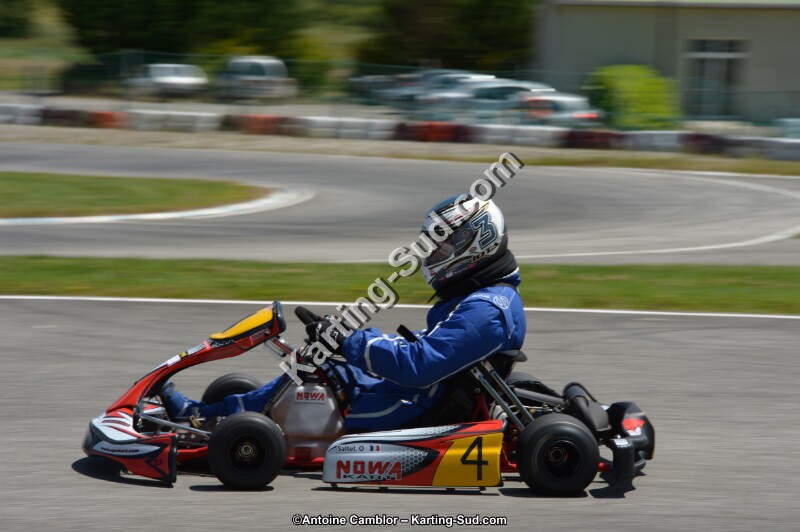 DSC_8555.jpg