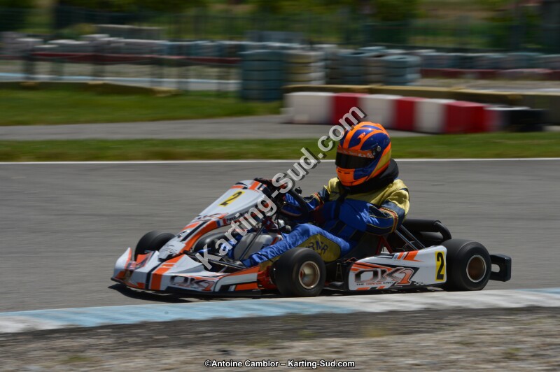 DSC_8556.jpg