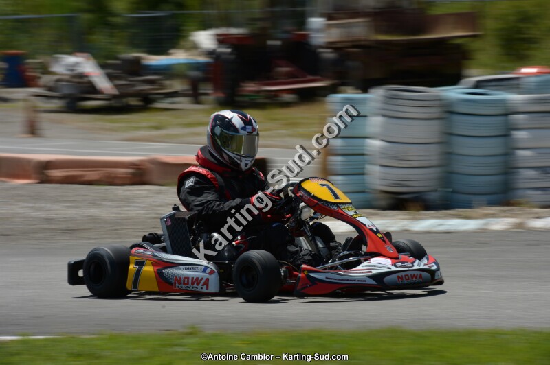 DSC_8564.jpg