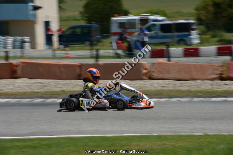 DSC_8566.jpg