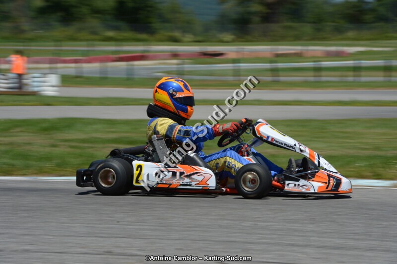 DSC_8572.jpg