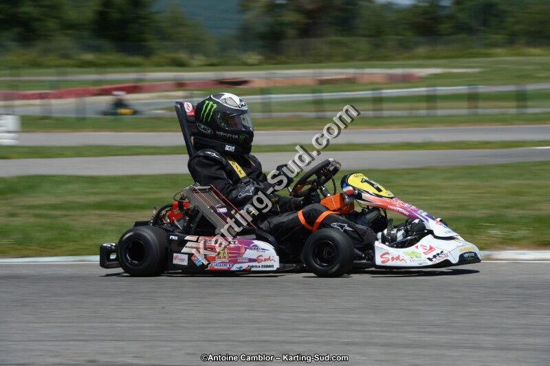 DSC_8575.jpg