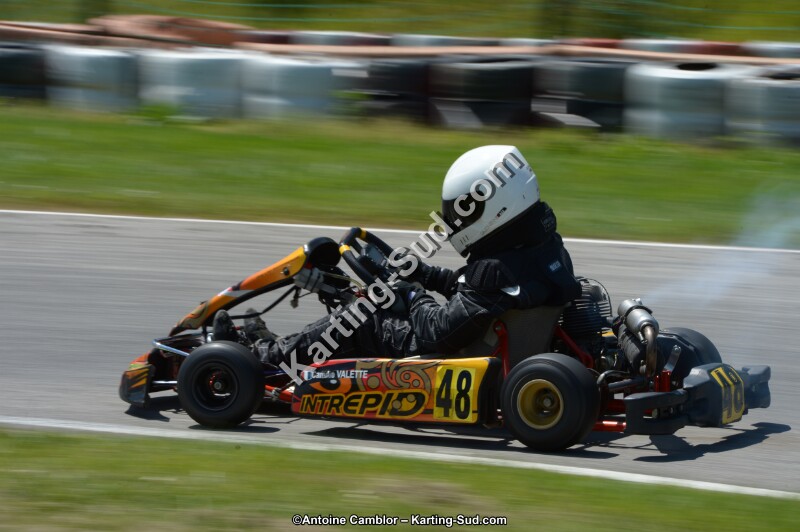DSC_8609.jpg