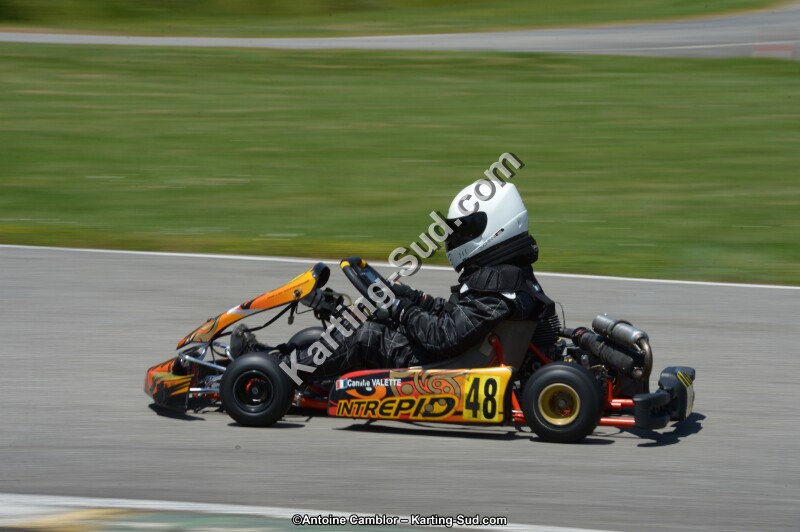DSC_8611.jpg