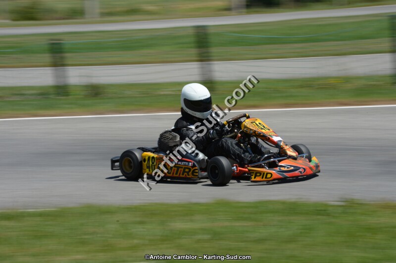 DSC_8619.jpg