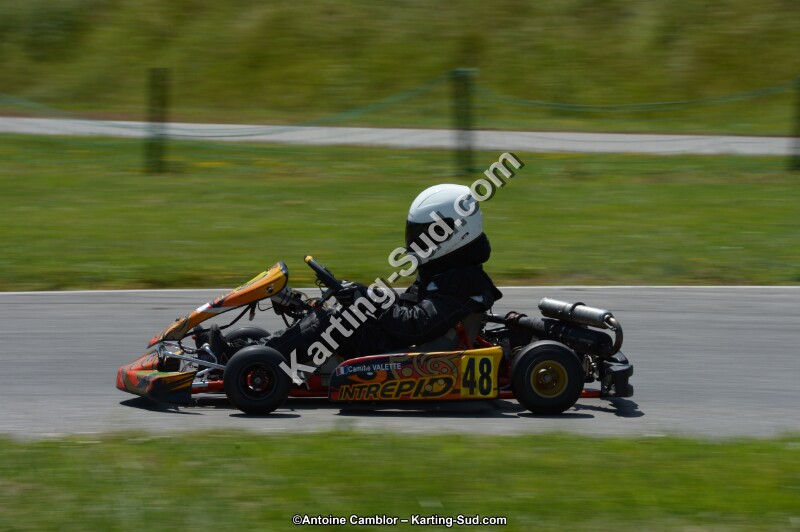 DSC_8625.jpg
