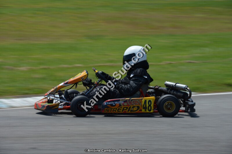 DSC_8633.jpg