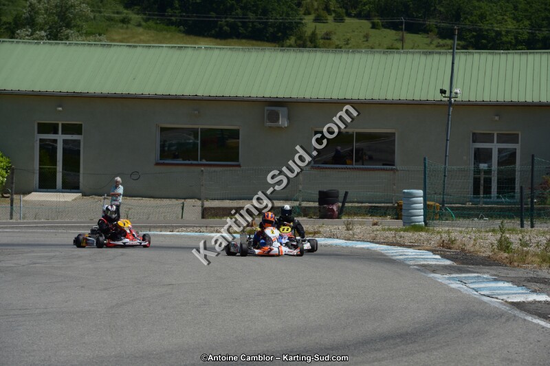 DSC_8678.jpg