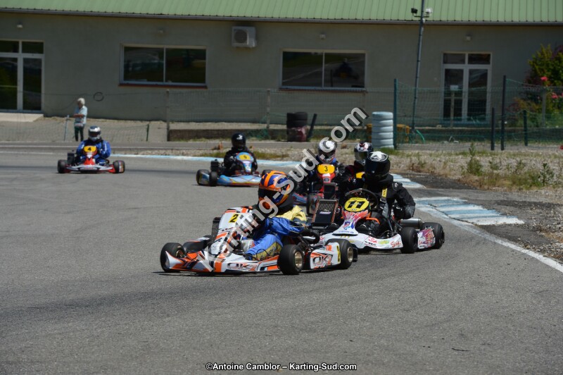 DSC_8679.jpg