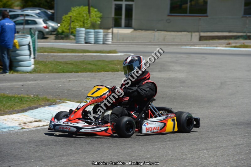 DSC_8685.jpg