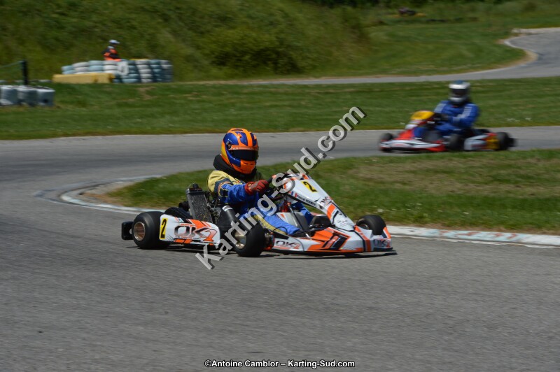 DSC_8731.jpg