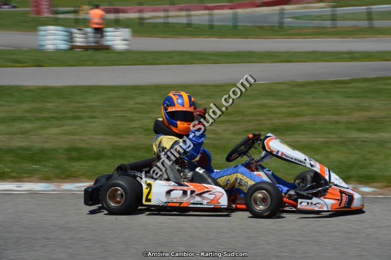 DSC_8748.jpg