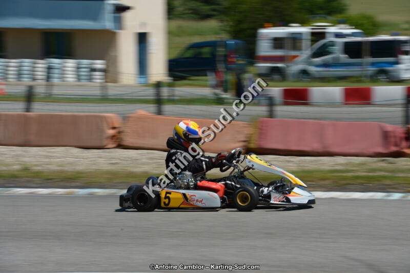 DSC_8772.jpg