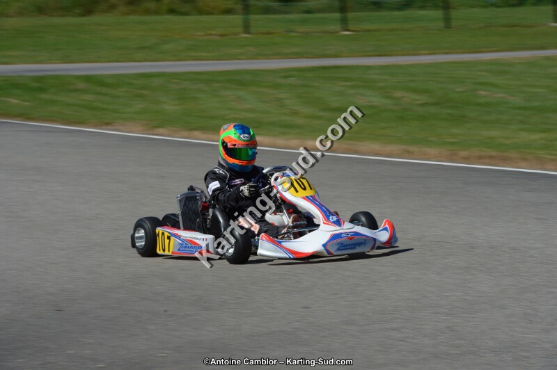 DSC_9031.jpg