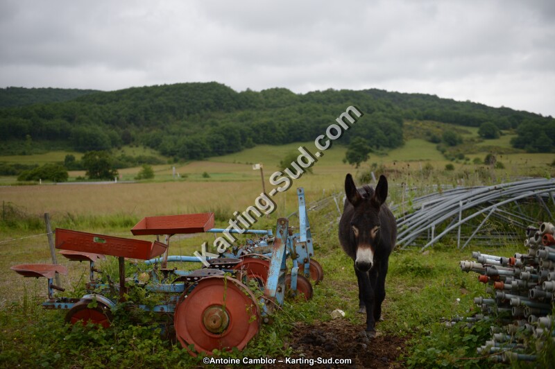 DSC_9219.jpg