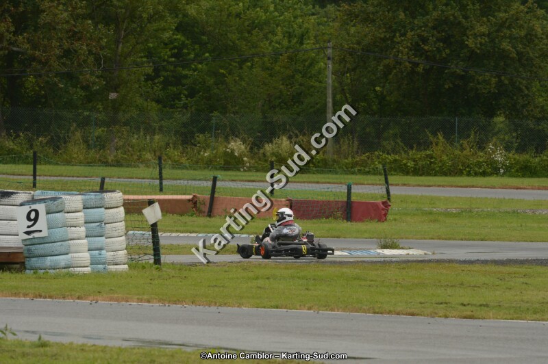 DSC_9231.jpg