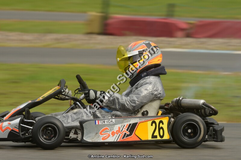 DSC_9246.jpg