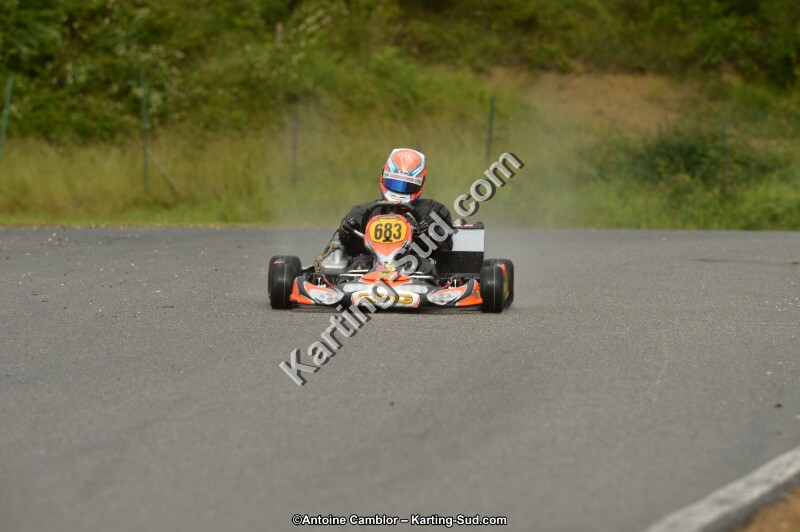 DSC_9305.jpg
