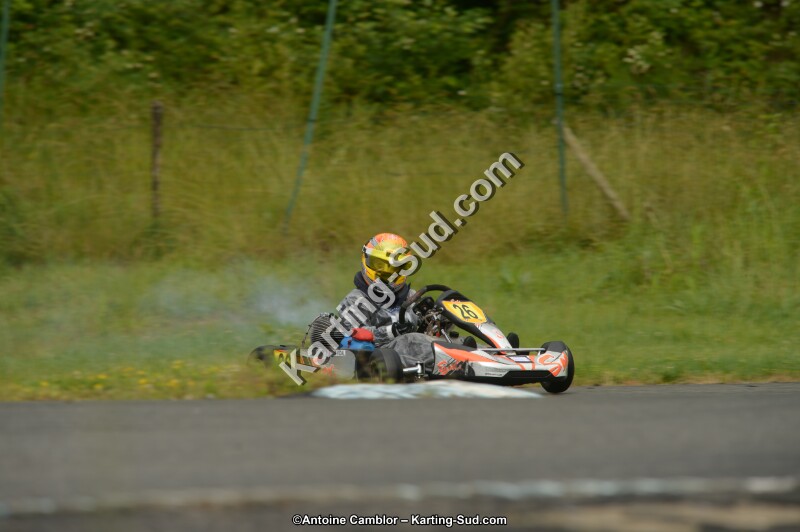 DSC_9337.jpg