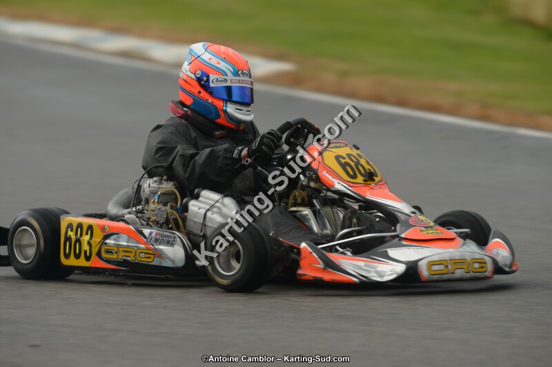 DSC_9374.jpg