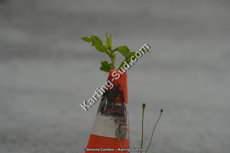 DSC_9384.jpg