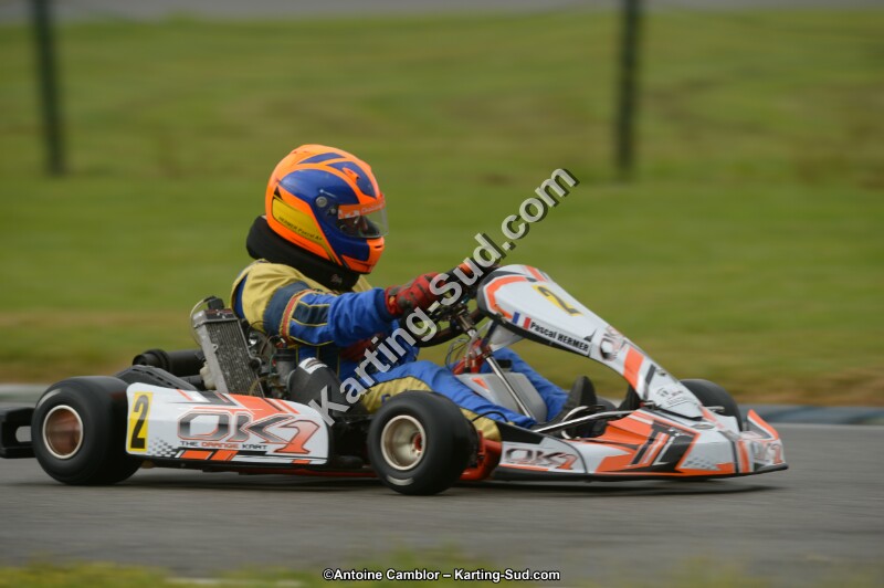 DSC_9393.jpg