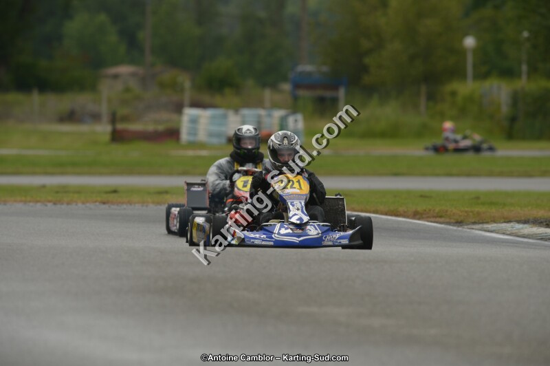 DSC_9531.jpg