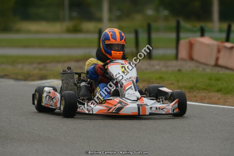 DSC_9537.jpg
