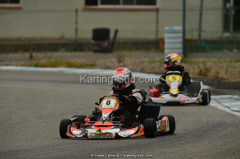 DSC_0235.jpg