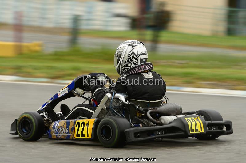 DSC_0308.jpg