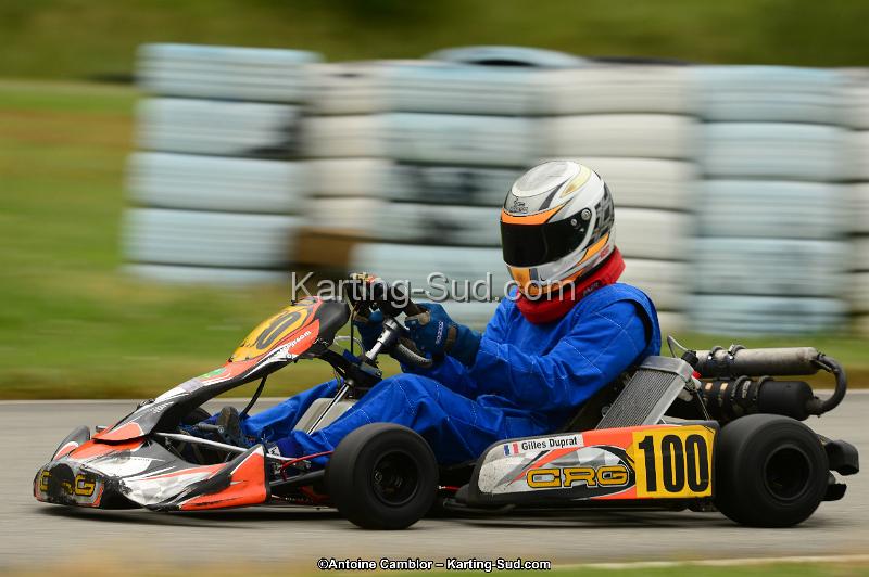 DSC_0484.jpg