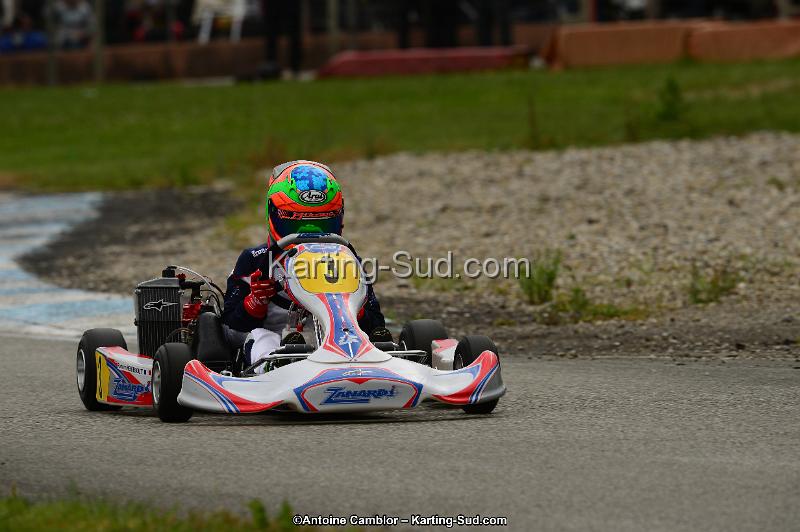 DSC_0564.jpg