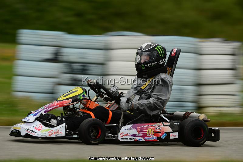 DSC_0664.jpg