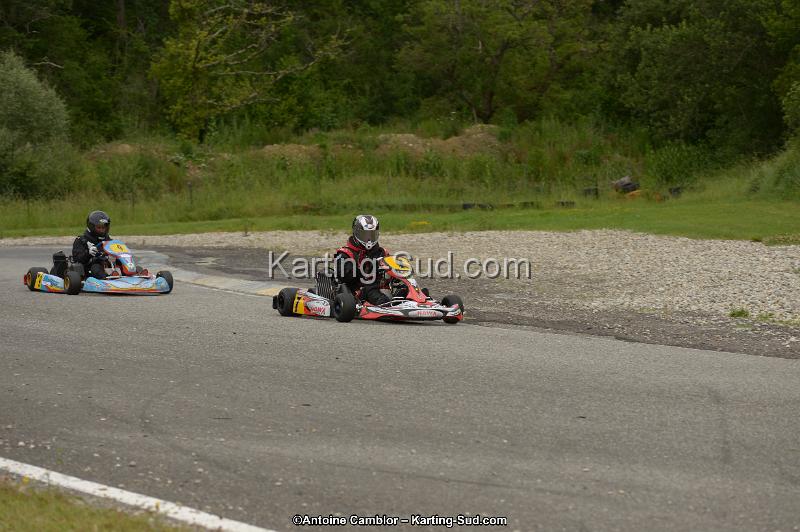 DSC_8268.jpg