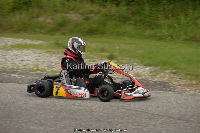 DSC_8272.jpg