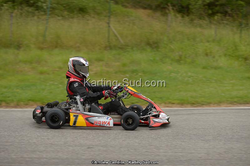 DSC_8287.jpg