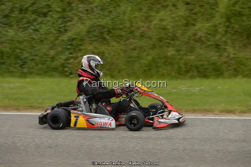 DSC_8291.jpg