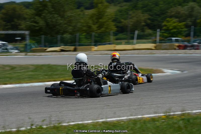 DSC_8508.jpg
